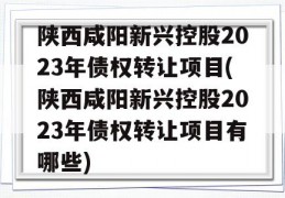 陕西咸阳新兴控股2023年债权转让项目(陕西咸阳新兴控股2023年债权转让项目有哪些)