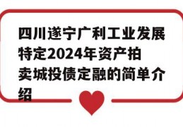 四川遂宁广利工业发展特定2024年资产拍卖城投债定融的简单介绍