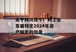 关于四川遂宁广利工业发展特定2024年资产拍卖的信息