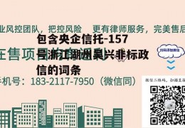 包含央企信托-157号浙江湖州吴兴非标政信的词条