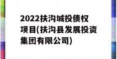 2022扶沟城投债权项目(扶沟县发展投资集团有限公司)