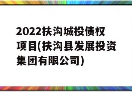 2022扶沟城投债权项目(扶沟县发展投资集团有限公司)