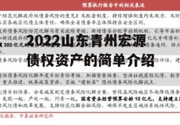 2022山东青州宏源债权资产的简单介绍