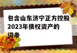 包含山东济宁正方控股2023年债权资产的词条