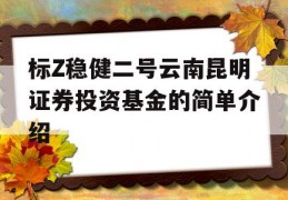 标Z稳健二号云南昆明证券投资基金的简单介绍