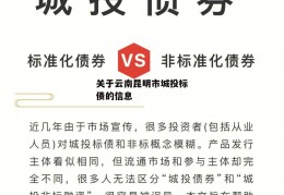 关于云南昆明市城投标债的信息