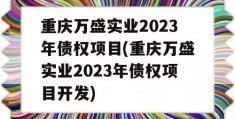 重庆万盛实业2023年债权项目(重庆万盛实业2023年债权项目开发)