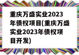 重庆万盛实业2023年债权项目(重庆万盛实业2023年债权项目开发)