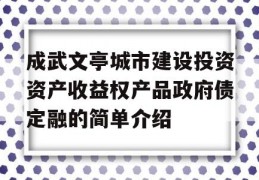 成武文亭城市建设投资资产收益权产品政府债定融的简单介绍