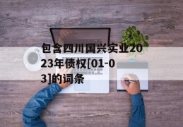 包含四川国兴实业2023年债权[01-03]的词条