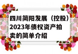 四川简阳发展（控股）2023年债权资产拍卖的简单介绍