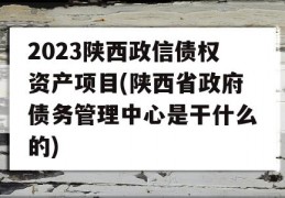 2023陕西政信债权资产项目(陕西省政府债务管理中心是干什么的)