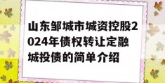 山东邹城市城资控股2024年债权转让定融城投债的简单介绍