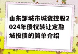 山东邹城市城资控股2024年债权转让定融城投债的简单介绍