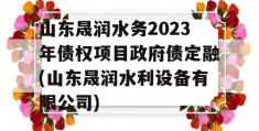 山东晟润水务2023年债权项目政府债定融(山东晟润水利设备有限公司)