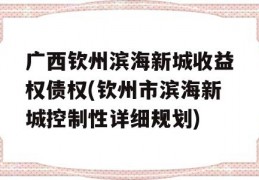 广西钦州滨海新城收益权债权(钦州市滨海新城控制性详细规划)