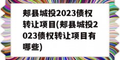 郏县城投2023债权转让项目(郏县城投2023债权转让项目有哪些)