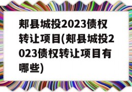 郏县城投2023债权转让项目(郏县城投2023债权转让项目有哪些)