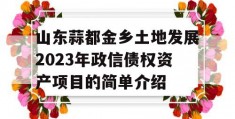 山东蒜都金乡土地发展2023年政信债权资产项目的简单介绍