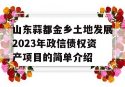 山东蒜都金乡土地发展2023年政信债权资产项目的简单介绍