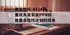 央企信托-AS10号重庆大足实业PPN标债集合信托计划的简单介绍