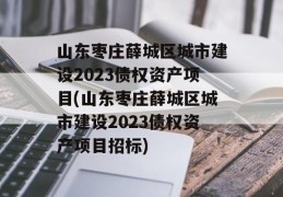 山东枣庄薛城区城市建设2023债权资产项目(山东枣庄薛城区城市建设2023债权资产项目招标)