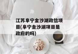 江苏阜宁金沙湖政信项目(阜宁金沙湖项目是政府的吗)