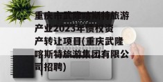 重庆市武隆喀斯特旅游产业2023年债权资产转让项目(重庆武隆喀斯特旅游集团有限公司招聘)