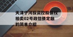 天津宁河投资控股债权拍卖02号政信债定融的简单介绍