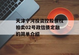 天津宁河投资控股债权拍卖02号政信债定融的简单介绍