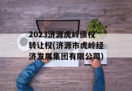 2023济源虎岭债权转让权(济源市虎岭经济发展集团有限公司)