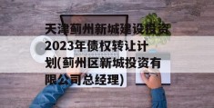 天津蓟州新城建设投资2023年债权转让计划(蓟州区新城投资有限公司总经理)