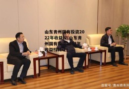 山东青州国有投资2022年收益权(山东青州国有投资2022年收益权转让)