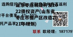 山东枣庄城建开发2022债权资产(山东省枣庄市棚户区改造2021年规划)