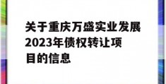 关于重庆万盛实业发展2023年债权转让项目的信息