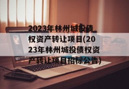 2023年林州城投债权资产转让项目(2023年林州城投债权资产转让项目招标公告)