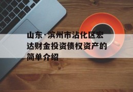 山东·滨州市沾化区宏达财金投资债权资产的简单介绍