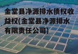 金堂县净源排水债权收益权(金堂县净源排水有限责任公司)