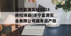 遂宁富源实业2023债权项目(遂宁富源实业有限公司国有资产拍卖)