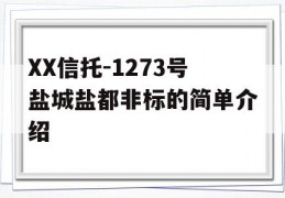 XX信托-1273号盐城盐都非标的简单介绍