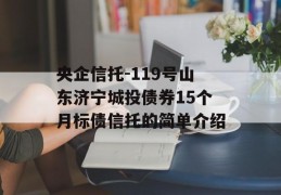 央企信托-119号山东济宁城投债券15个月标债信托的简单介绍