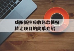 咸阳新控应收账款债权转让项目的简单介绍