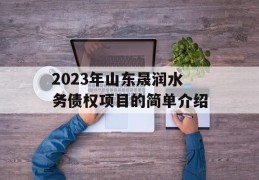 2023年山东晟润水务债权项目的简单介绍