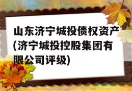 山东济宁城投债权资产(济宁城投控股集团有限公司评级)