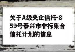 关于A级央企信托-859号泰兴市非标集合信托计划的信息