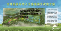 关于山东德州齐河县城市经营建设投资债权项目的信息