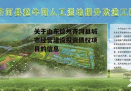 关于山东德州齐河县城市经营建设投资债权项目的信息