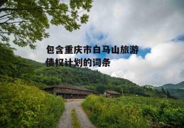 包含重庆市白马山旅游债权计划的词条