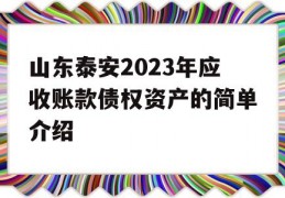 山东泰安2023年应收账款债权资产的简单介绍