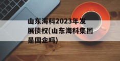 山东海科2023年发展债权(山东海科集团是国企吗)